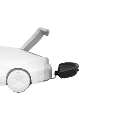 Bakbox Thule Arcos Platform + Thule Arcos Box XL